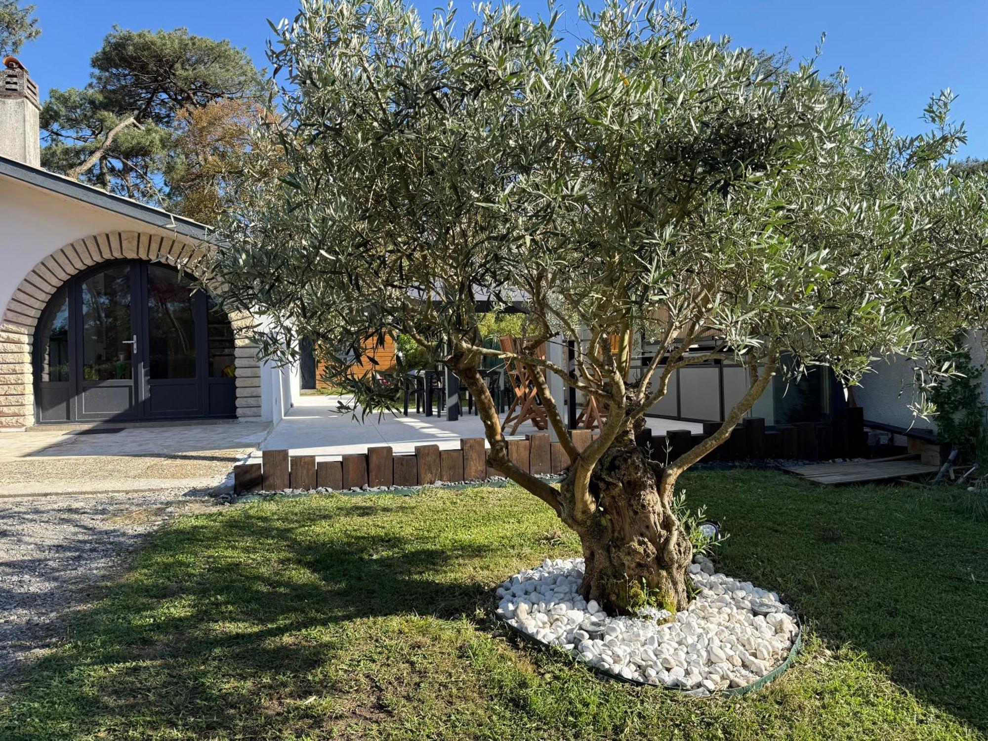Villa Dune&Océan Labenne Extérieur photo